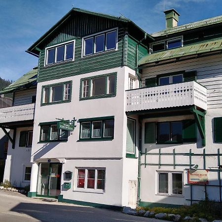 Apartment Haarlem Gosau Zewnętrze zdjęcie