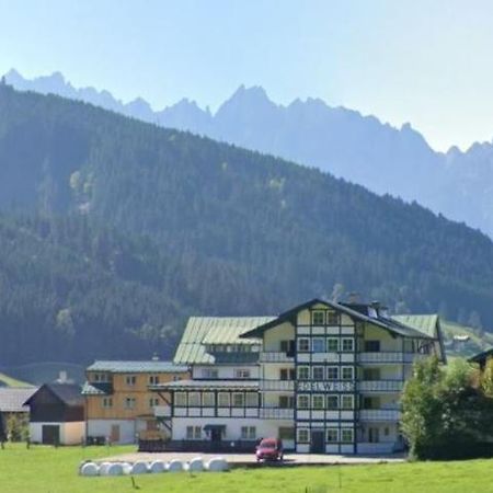 Apartment Haarlem Gosau Zewnętrze zdjęcie